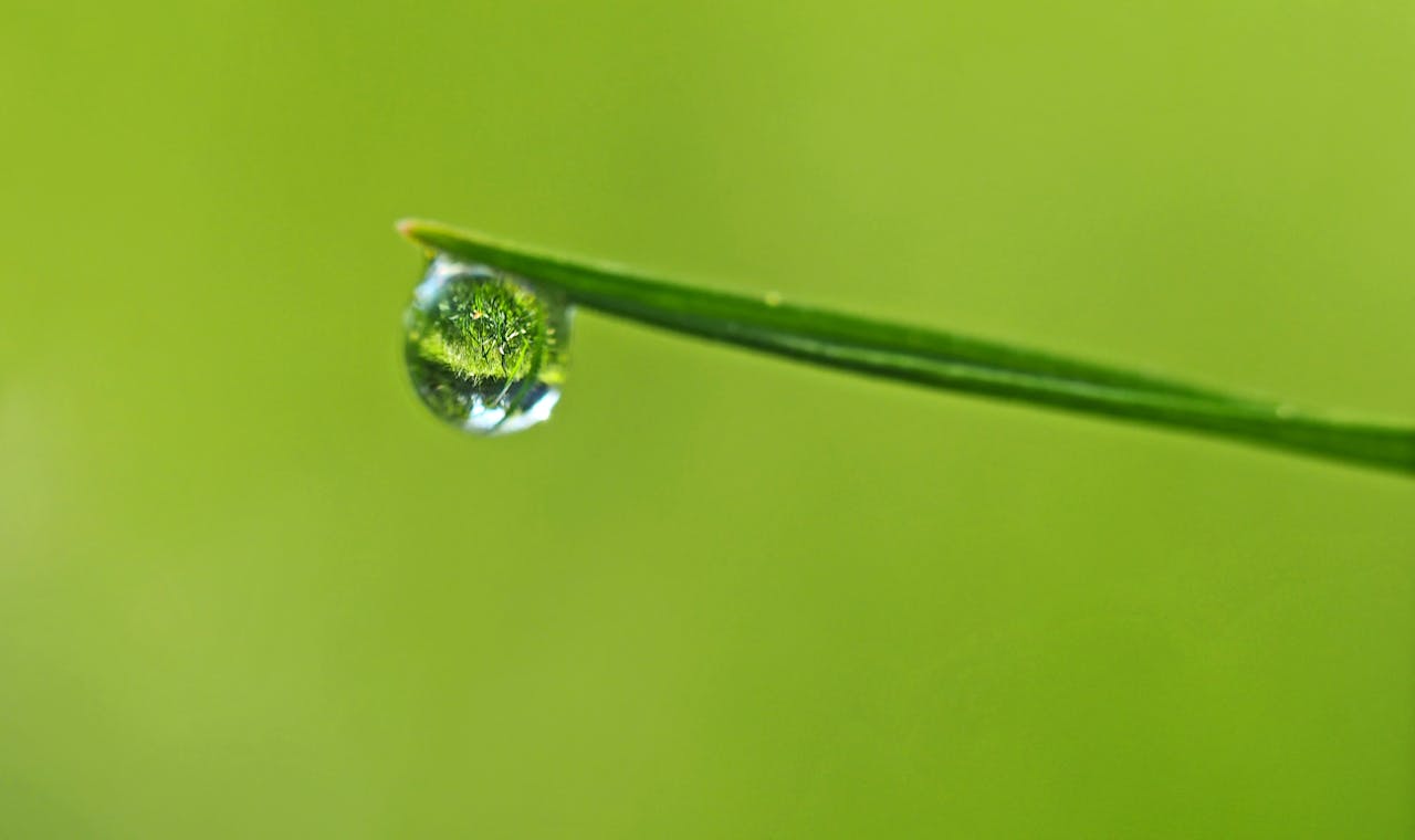 Mastering the First Impression: Your intriguing post title goes here A macro shot of a dew drop on a blade of grass reflecting its surroundings.